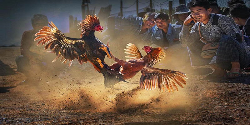 betjili xổ số bữa nay