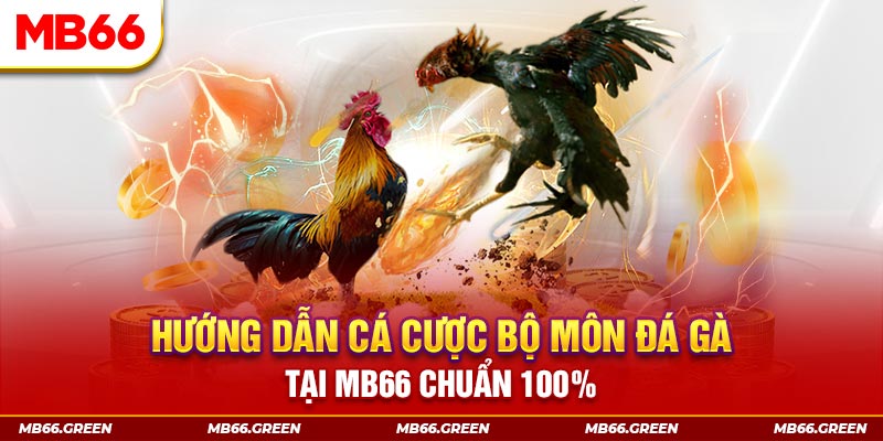 betjili slot là gi