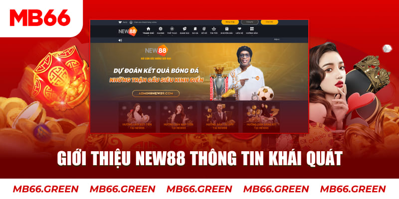betjili Tung Đồng Xu
