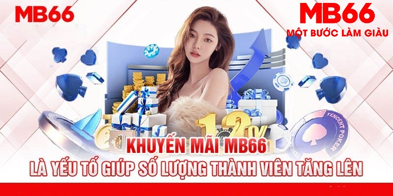 betjili baccarat long bảo là gì