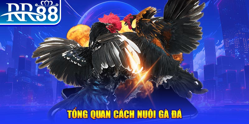 betjili game nổ hũ rút tiền mặt là gì