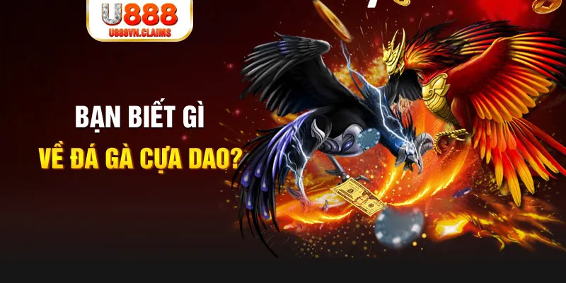 betjili SW Xổ Số