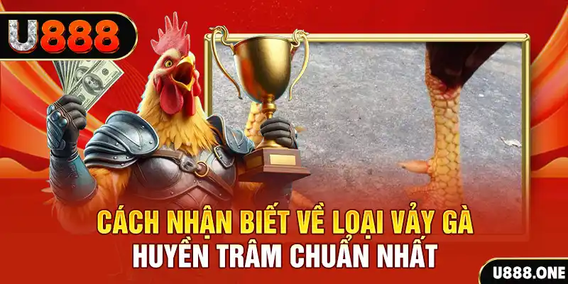betjili đăng nhập nổ hũ số 1