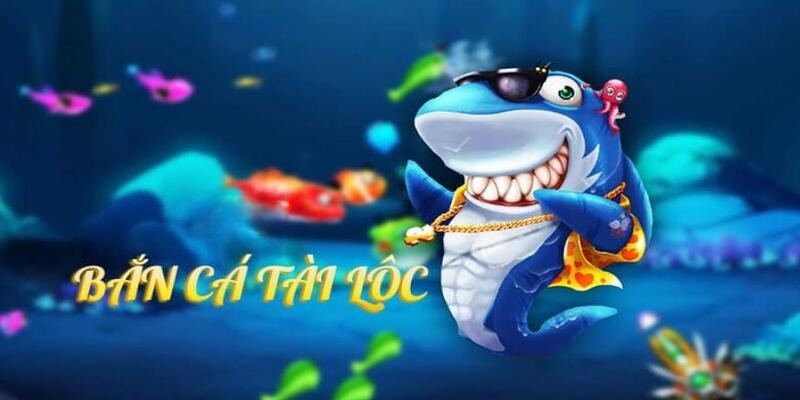 betjili DB Trực Tuyến