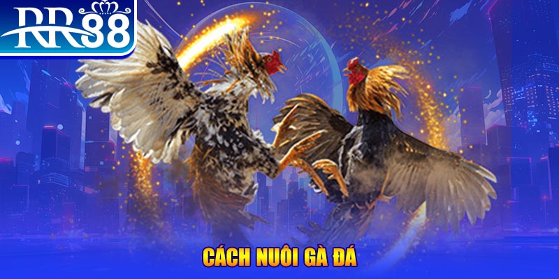 betjili đăng nhập phỏm đổi thưởng