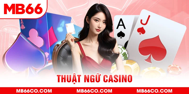 betjili gà chọi c1 mới nhất