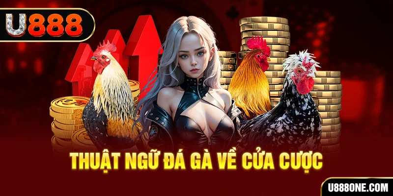 betjili hơn cả bạn bè