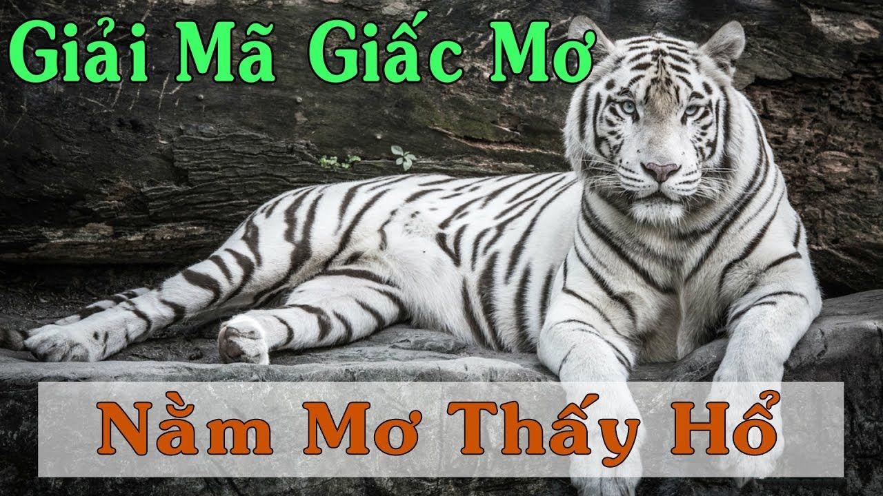 betjili nổ hũ là game gì