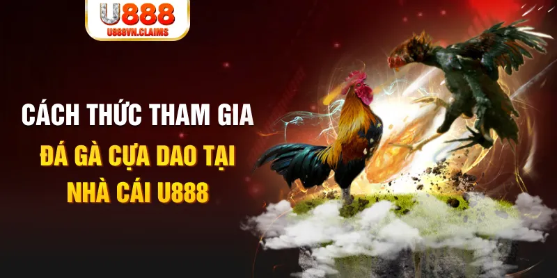 betjili Cỡ bảy