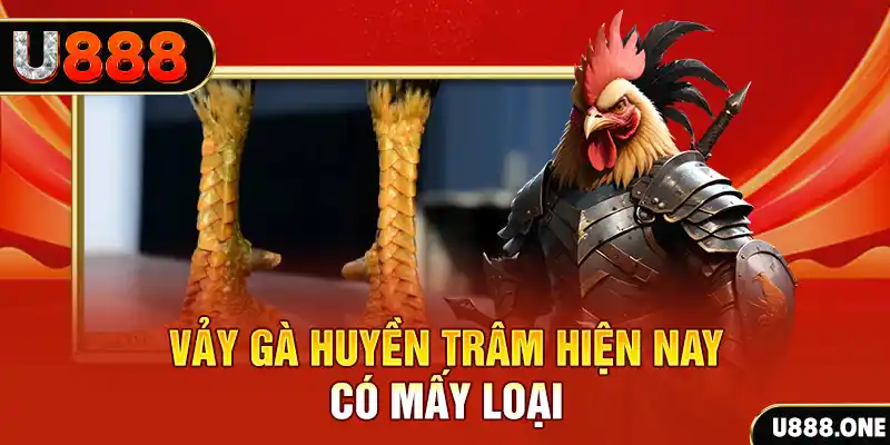 betjili xổ số bình định