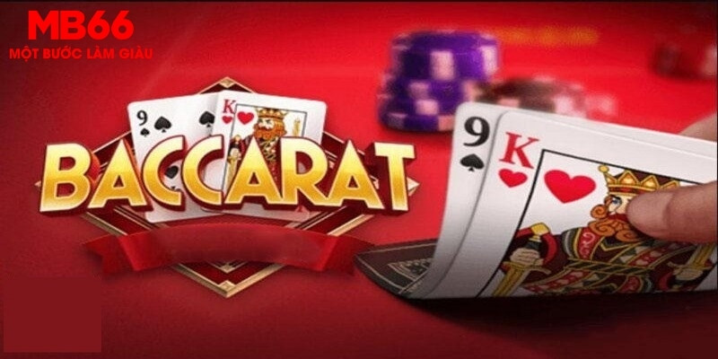 betjili how to win at casino slots