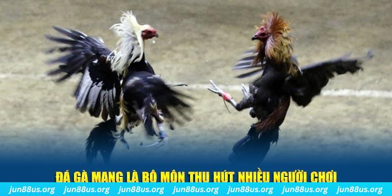 betjili nổ hủ nghĩa là gì
