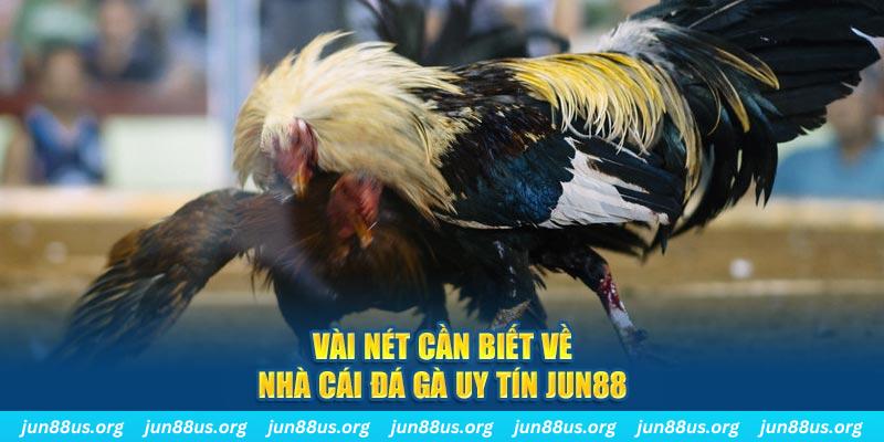 betjili đăng nhập phỏm khuyến mãi