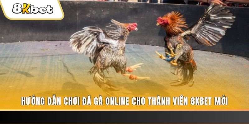 betjili JILI Game Bài 3d