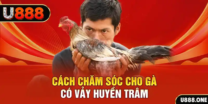 betjili bắn cá xèng 3