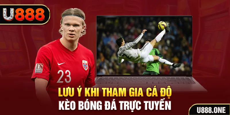 betjili đăng nhập tiến lên miền nam khuyến mãi