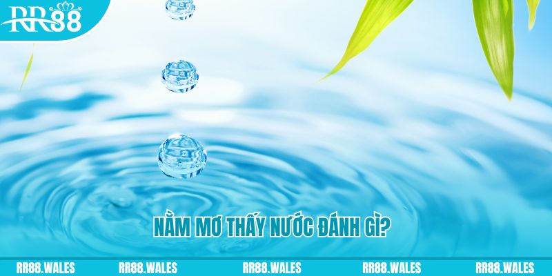 betjili TCG Xổ Số