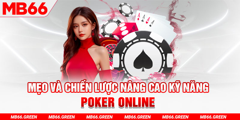 betjili chổi lông gà