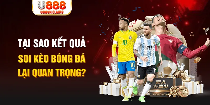 betjili Tôm Cua Cá 2