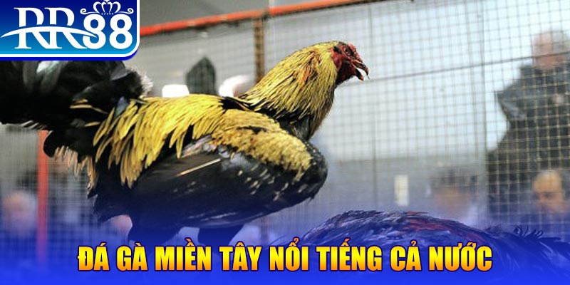 betjili xổ số đại phát