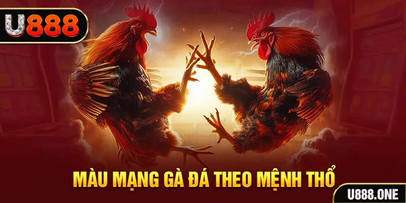 betjili đăng nhập sòng bạc hàng đầu