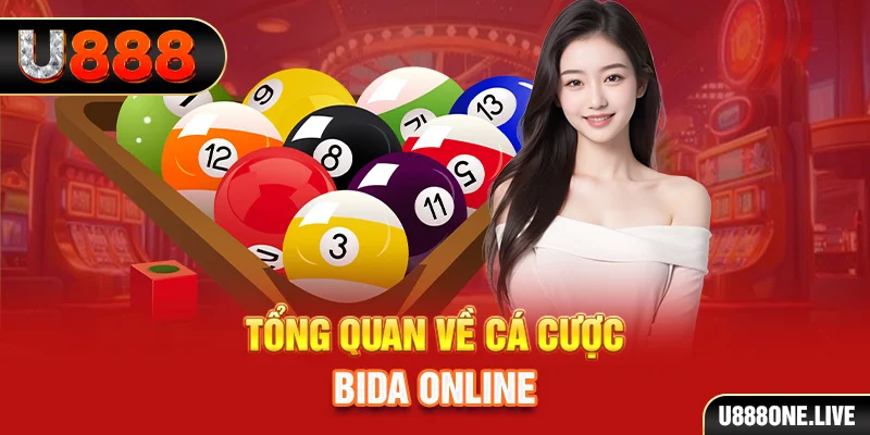 betjili kết quả xổ số kiến thiết miền bắc