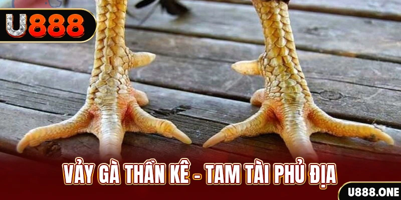 betjili xổ số miền trung thứ hai hàng tuần