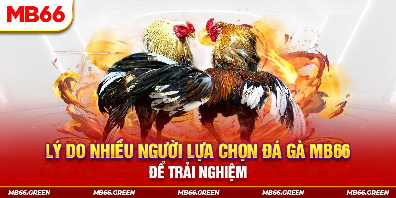 betjili tai game danh bai tien len mien nam ve may tinh
