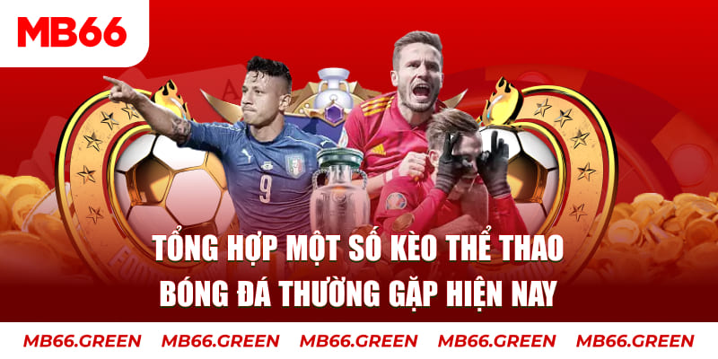betjili người chia bài trong casino gọi là gì