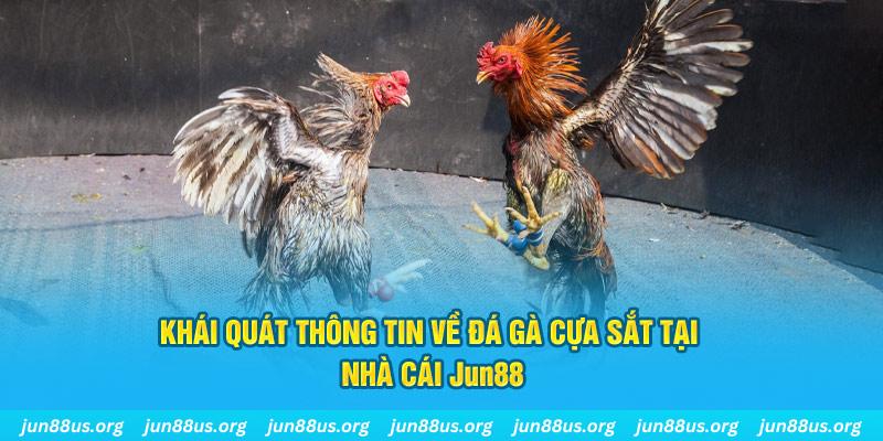 betjili xổ số miền bắc thứ bảy hàng tuần