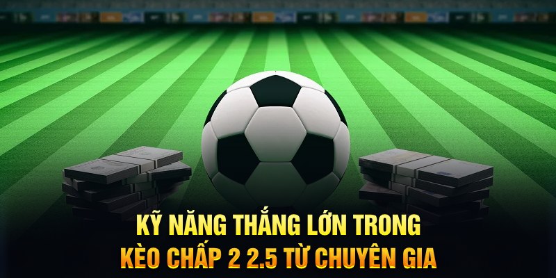 betjili bao nhiêu điểm nổ hũ 8 bit