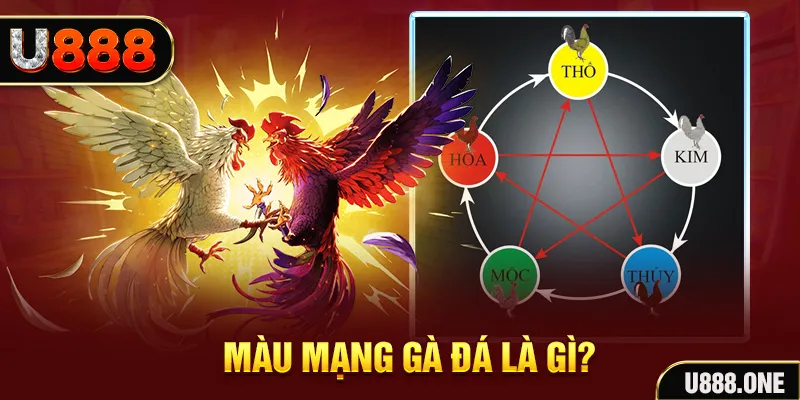 betjili xổ số miền trung thứ tư hàng tuần