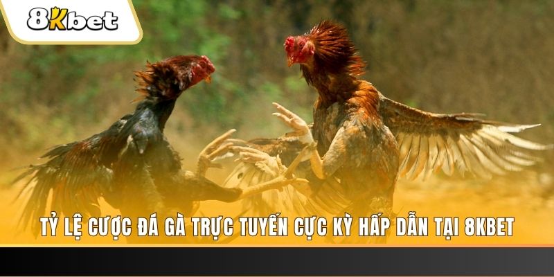 betjili đăng nhập mậu binh online