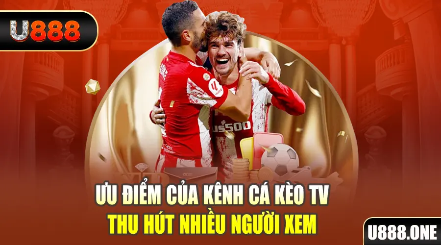 betjili gà chọi cu cần