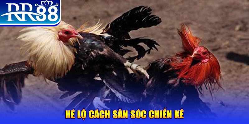 betjili xổ số miền trung thứ tư