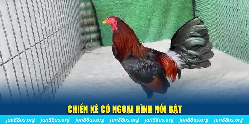 betjili game bắn cá
