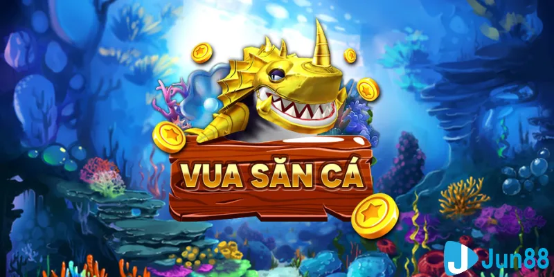 betjili casino hồ tràm có cho người việt vào không
