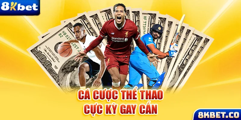 betjili xem đá gà trực tiếp